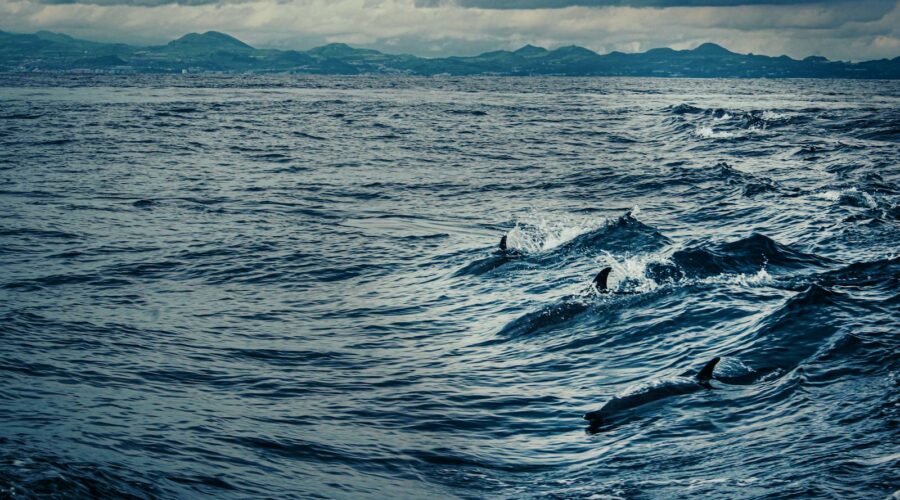 Praia do Carvalho: The Pocket Beach Beneath a Hidden Cliff Stair in Lagoa
