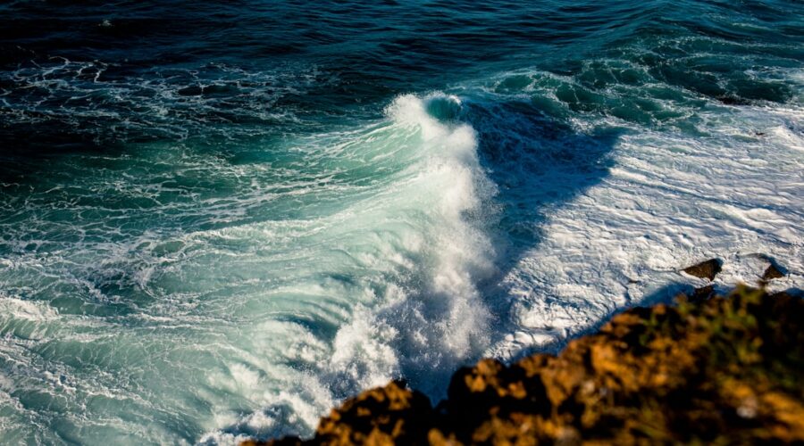 Low-Tide Walks: Discovering the Algarve’s Hidden Intertidal World