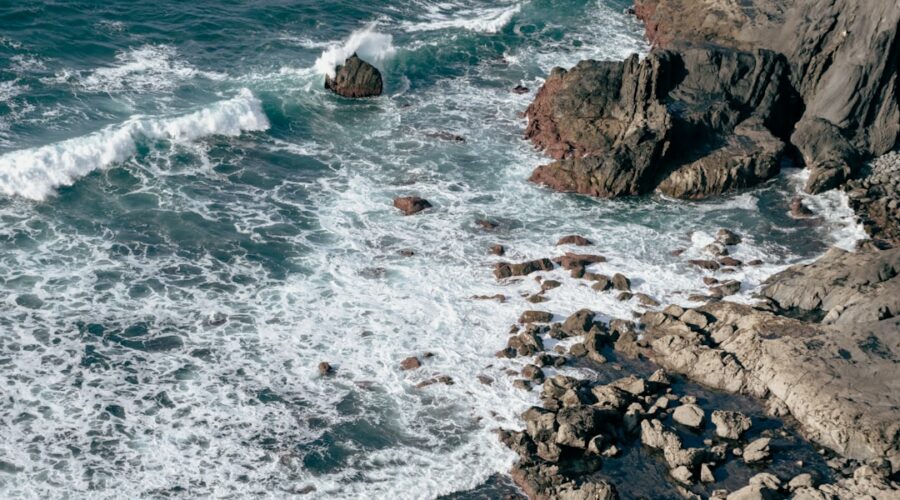 Shore-Based Marine Life Watching