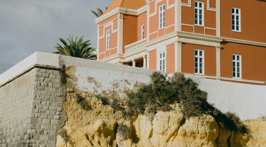 Shore-Based Marine Life Watching: Dolphins and Seabirds From Public Cliffs