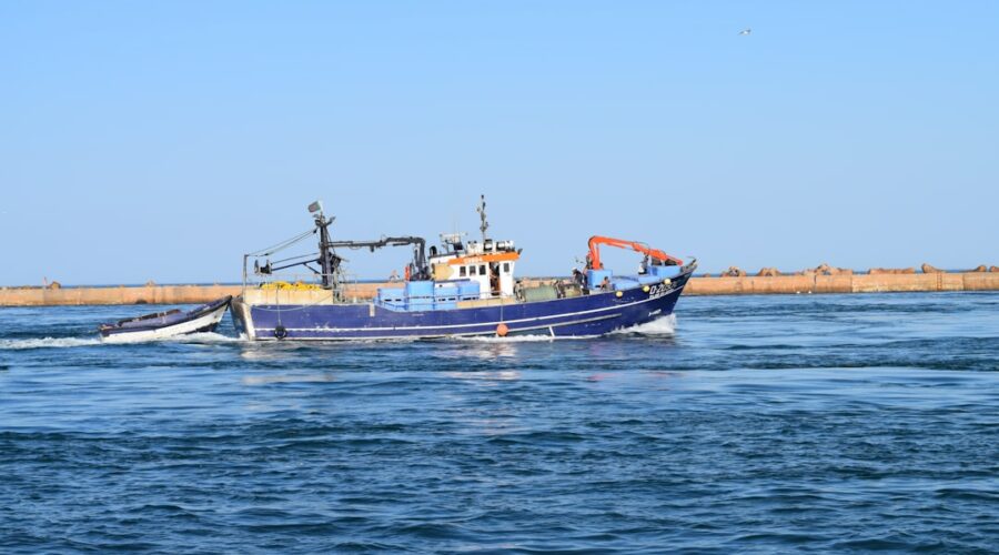 Shore Fishing Spots: Casting a Line Along the Public Algarve Coast