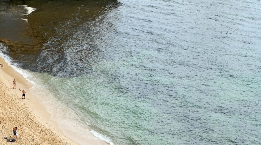 Algarve Trail Safety and Conditions Guide: What to Know Before You Walk in Late March 2026