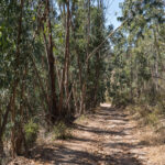 Hiking trail near Aljezur, Algarve