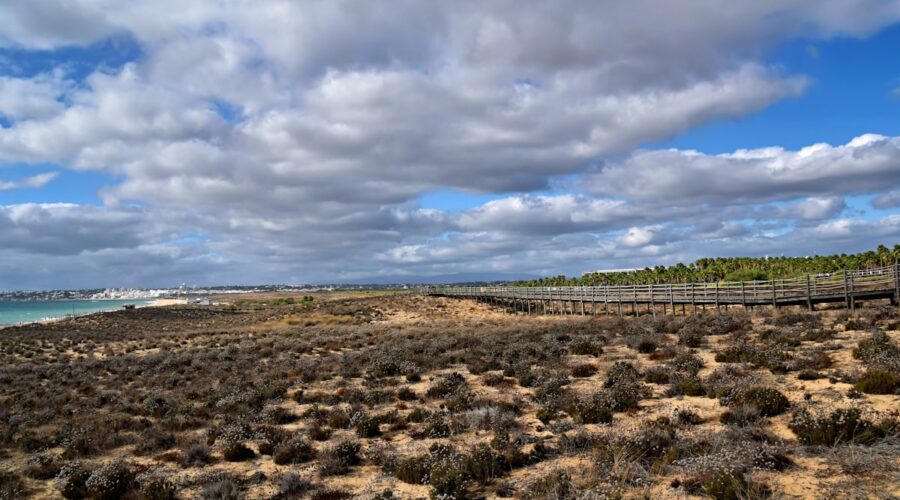 Castro Marim Marshes: Free Flamingo-Season Birdwatching in East Algarve