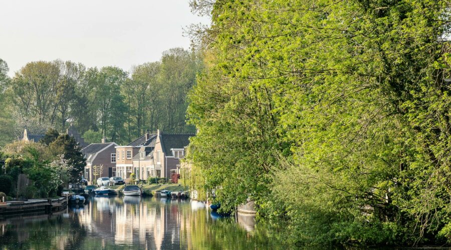 Alte Ribeira Shelter Loop: A Cooler Inland Backup for Windy Algarve Coast Days