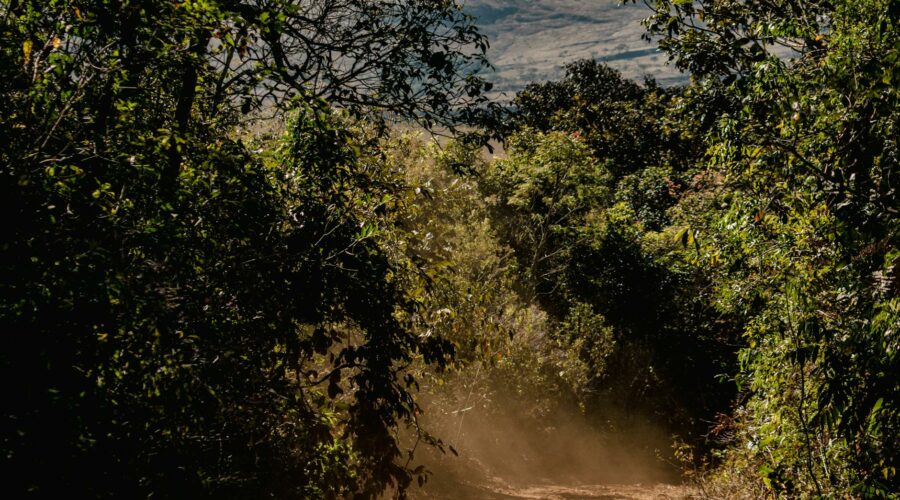 São Marcos da Serra Ribeira Shelter Loop: A Quiet Inland Option When the Coast Gets Rough
