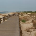 Algarve coastal cliffs and Atlantic shoreline in spring light, suitable for early and late quiet-hour walks.