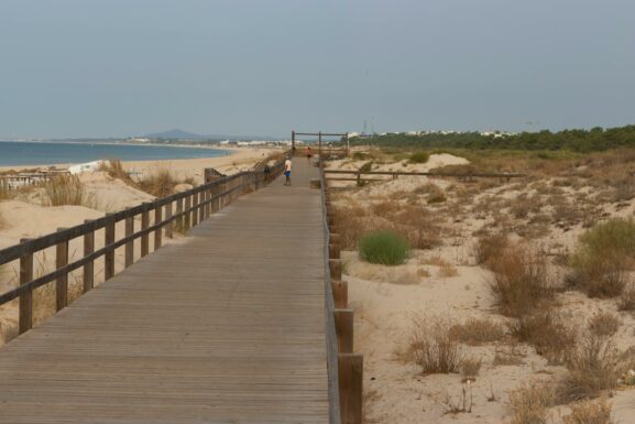 Algarve coastal cliffs and Atlantic shoreline in spring light, suitable for early and late quiet-hour walks.
