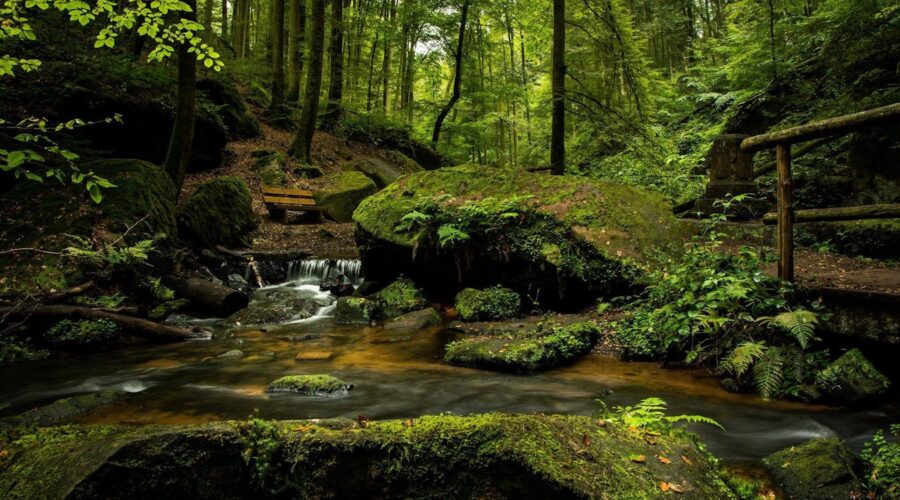 Loulé Ribeira Shelter Loop: A Central-Algarve Inland Alternative for Windy Days