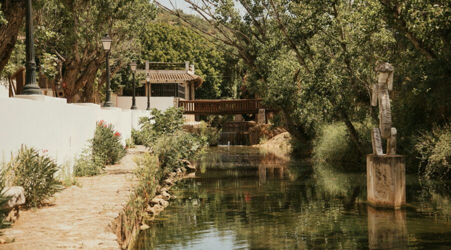 The Market Day Circle: A Week of Village Markets Across the Algarve Interior