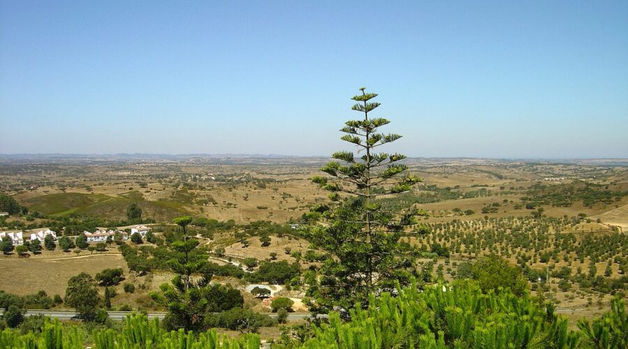 Ourique and the Guadiana Valley: The Interior Algarve Nobody Visits