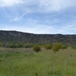 March Photography Highlights