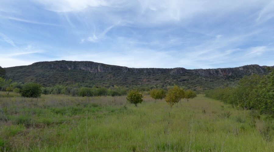 Rocha da Pena: The Inland Algarve Ridge Walk With Big Views and Almost No Crowds