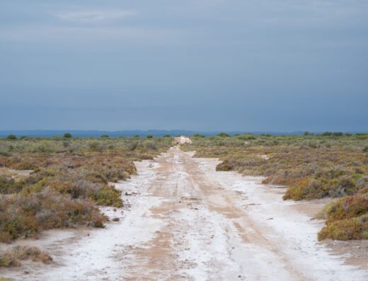 Salinas de Castro Marim