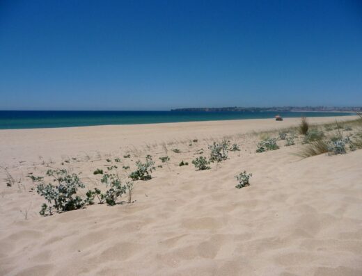 Meia Praia