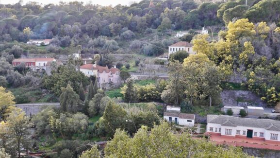 Caldas de Monchique — Bextrel