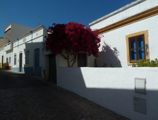 Alte
