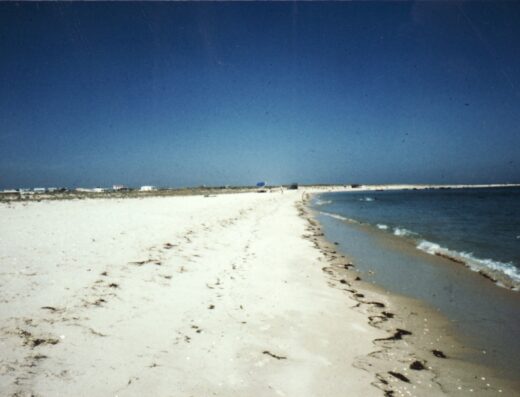 Ilha da Armona
