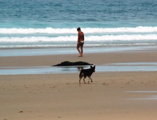 Praia de Vale Figueiras