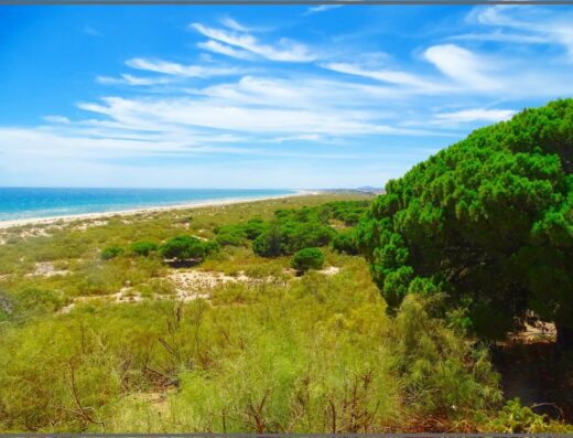 Praia do Cabeço