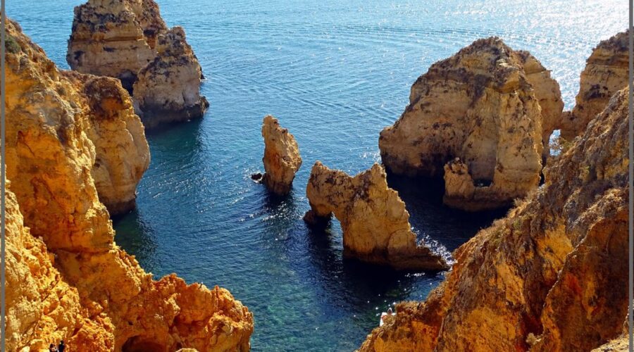 The Seasonal Bird Calendar: What Migrates Through the Algarve and When