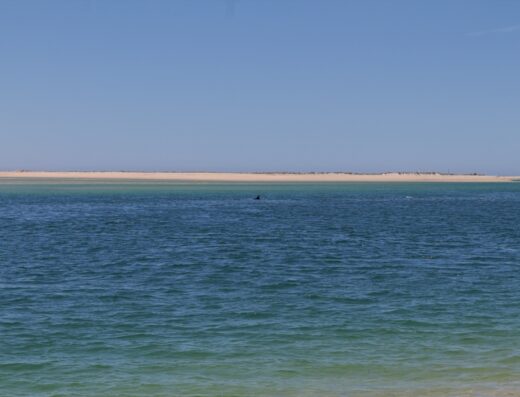 Praia da Fuseta-Mar