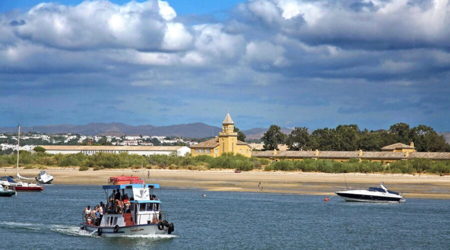 Birdwatching in Ria Formosa: Spring Migration and Where to Find the Best Sightings