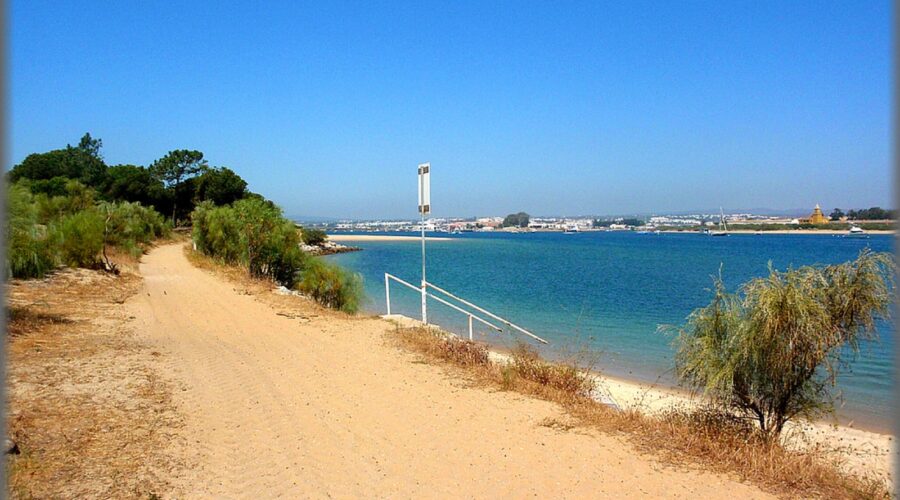 Tavira in a Day: The Castle, the Bridge, and the Island Beach You Take the Ferry To