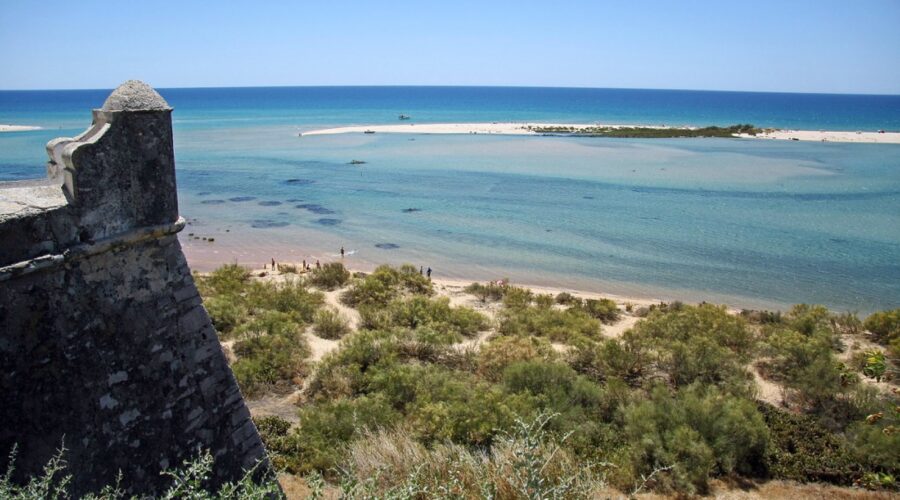 Ria Formosa Beyond Cacela Velha: Birdwatching, Boat Routes, and the Barrier Islands
