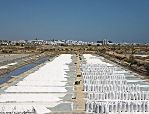 Salinas de Castro Marim