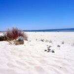 Meia Praia, Pat Neary