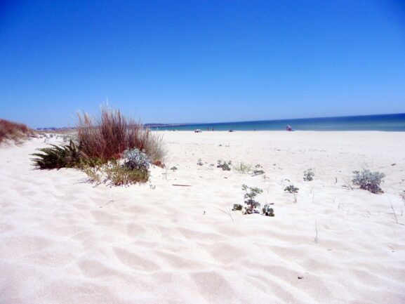 Meia Praia, Pat Neary