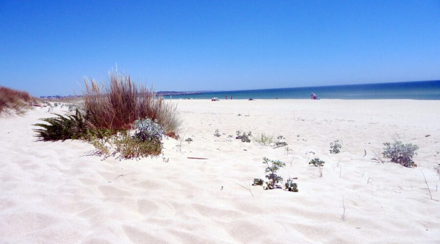 The Five Lagos Beaches: Which One to Pick and When